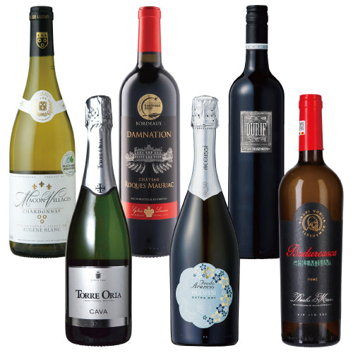 【6本セット】 世界の金賞ワイン バラエティ 750ml × 6本 セット スペイン イタリア ルーマニア フランス オーストラリア (スパークリング、白、赤 × 各2本)