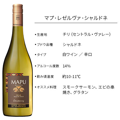 【5本セット】大人のピクニックワインセット 750ml × 5本 オリジナル保冷バック付 スペイン ニュージーランド チリ オーストラリア (白泡1本、白2本、ロゼ1本、赤1本)