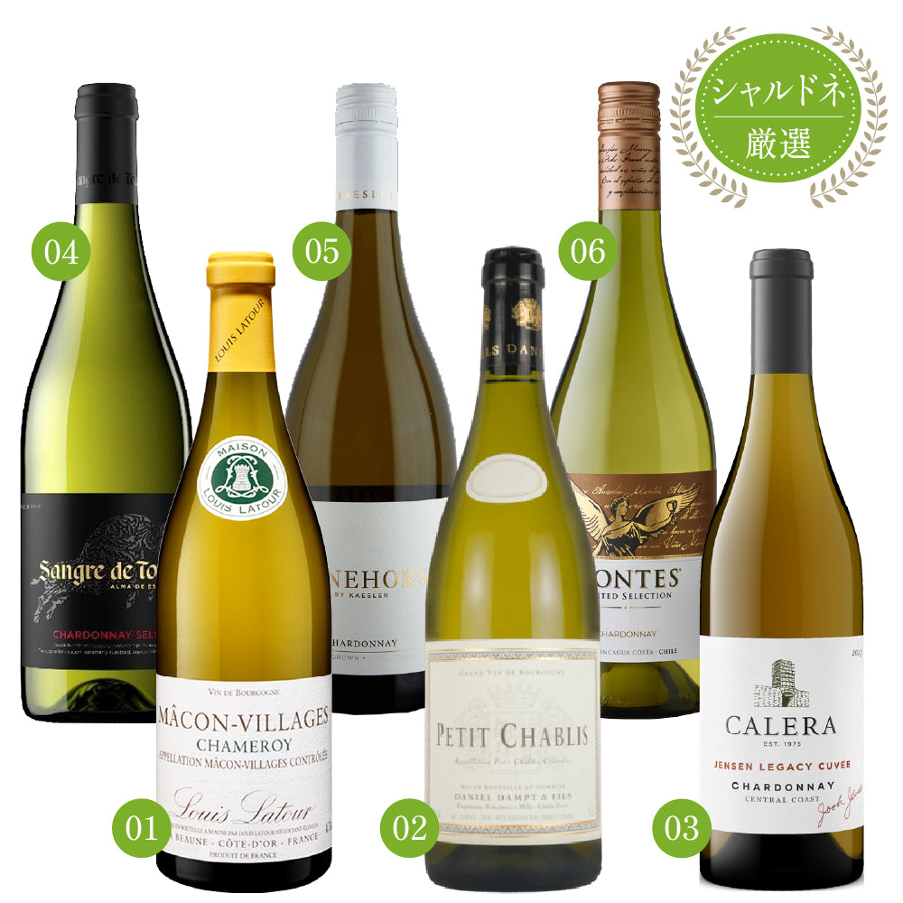 エノテカ 厳選 シャルドネ 白ワイン 750ml × 6本 セット アメリカ フランス スペイン オーストラリア チリ
