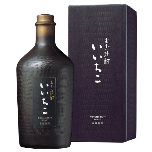 本格むぎ焼酎 いいちこ 民陶(みんとう)くろびん 25% 720ml 三和酒類 箱付 麦 焼酎 大分県