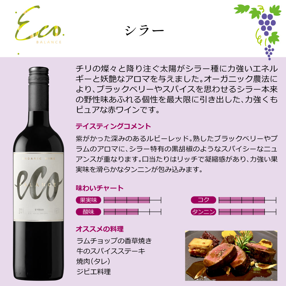 エコバランス 赤ワインコンプリートセット オーガニックワイン飲み比べ 750ml×4本 チリ