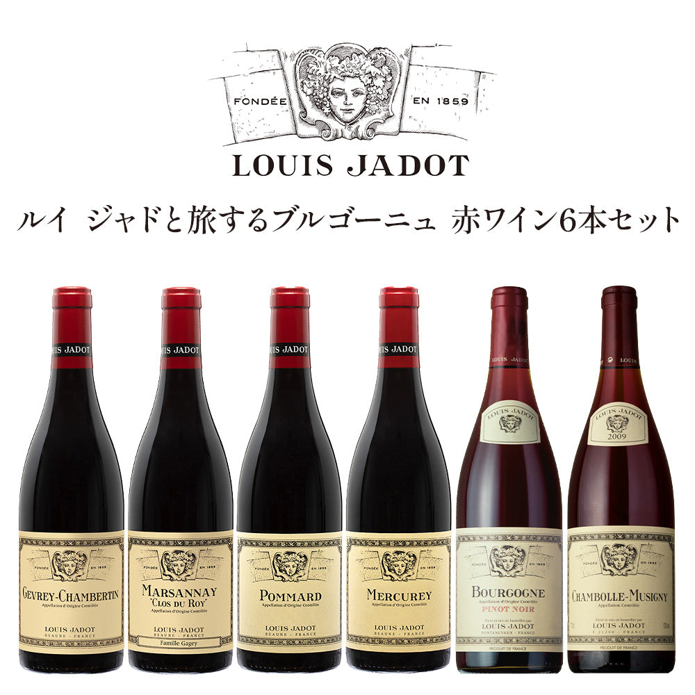 ルイ ジャドと旅するブルゴーニュ 赤ワイン 6本 贅沢飲み比べセット