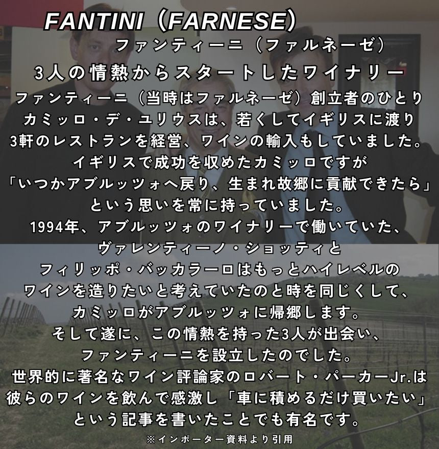 ファンティーニ(ファルネーゼ) カサーレ ヴェッキオ モンテプルチアーノ ダブルッツォ 2022 750ml 赤ワイン イタリア アブルッツォ フルボディ