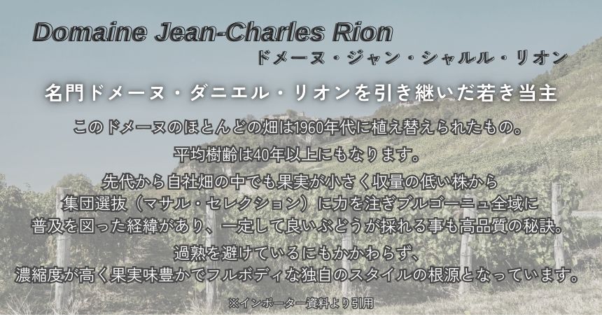 ジャン シャルル リオン ブルゴーニュ コート ドール ピノ ノワール 2022 750ml 赤ワイン フランス ブルゴーニュ ミディアムボディ