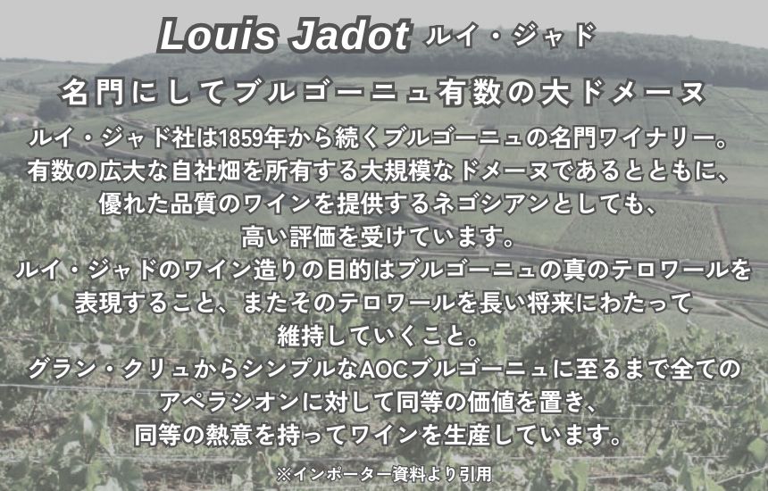 ルイ ジャド コトー ブルギニョン ルージュ 2021 750ml 赤ワイン フランス ブルゴーニュ ミディアムボディ