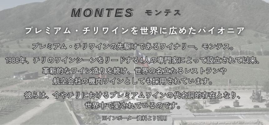モンテス アルファ エム 2020 750ml 赤ワイン チリ セントラル・ヴァレー フルボディ