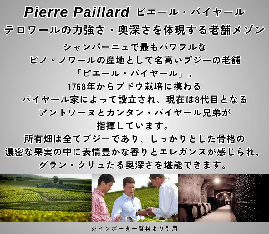 ピエール パイヤール レ パルセル ブジー ブリュット グラン クリュ NV 750ml 箱なし シャンパン