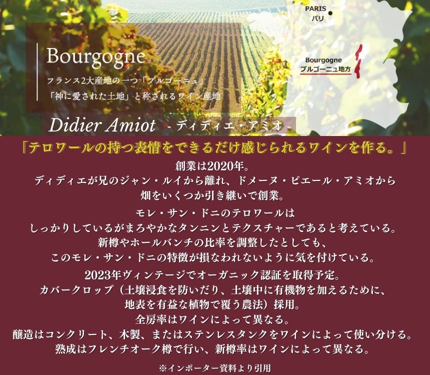 ディディエ アミオ モレ サン ドニ プルミエ クリュ シェヌヴリー 2022 750ml 赤ワイン フランス ブルゴーニュ フルボディ