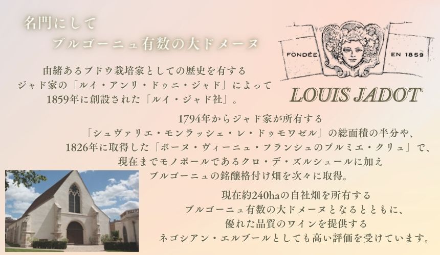 ルイ ジャド ボンヌ マール グラン クリュ 2019 750ml 赤ワイン フランス ブルゴーニュ フルボディ