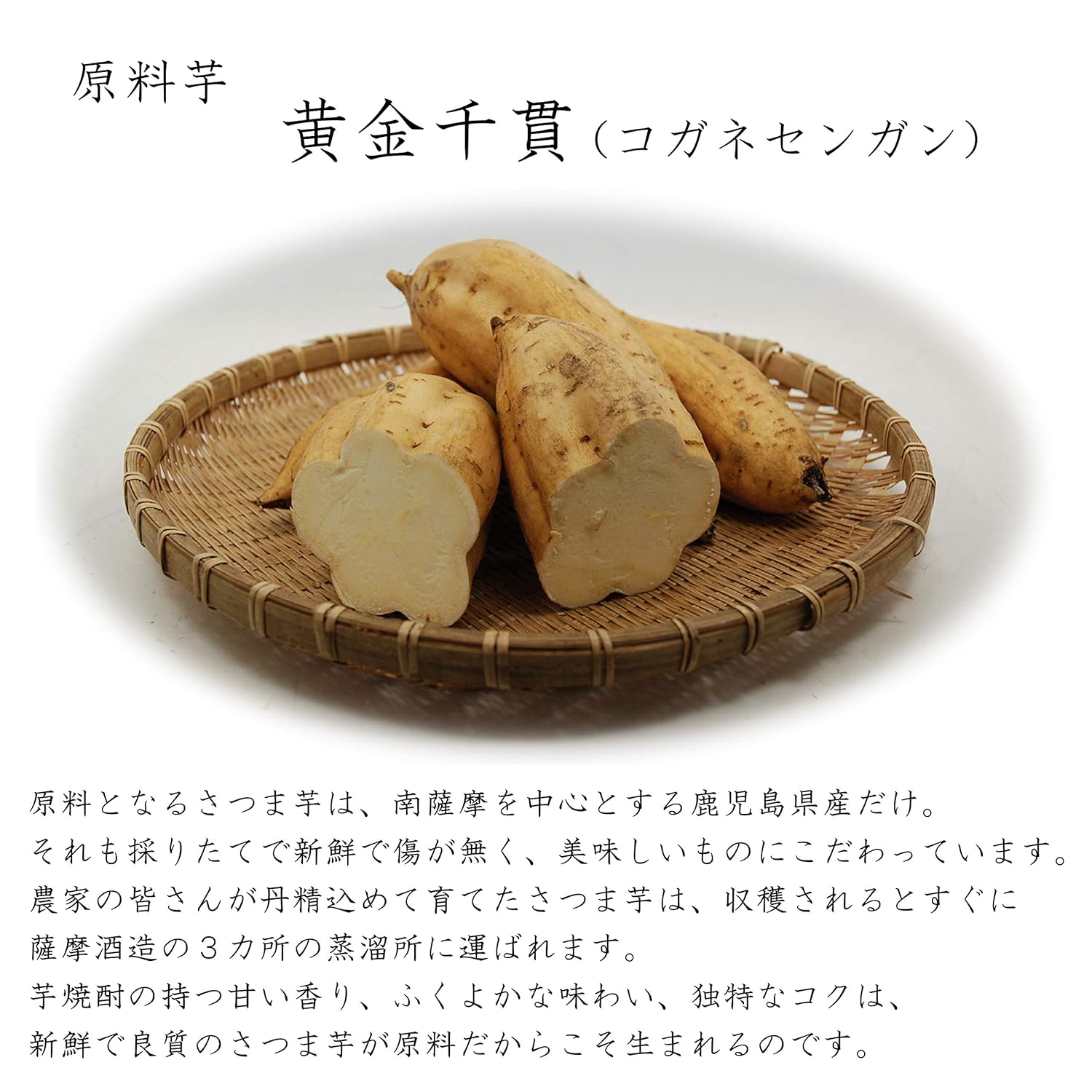 【6本セット】本格焼酎 さつま白波（しらなみ）スリムパック 25% 900ml 薩摩酒造 紙パック 芋 焼酎 白麹 鹿児島県