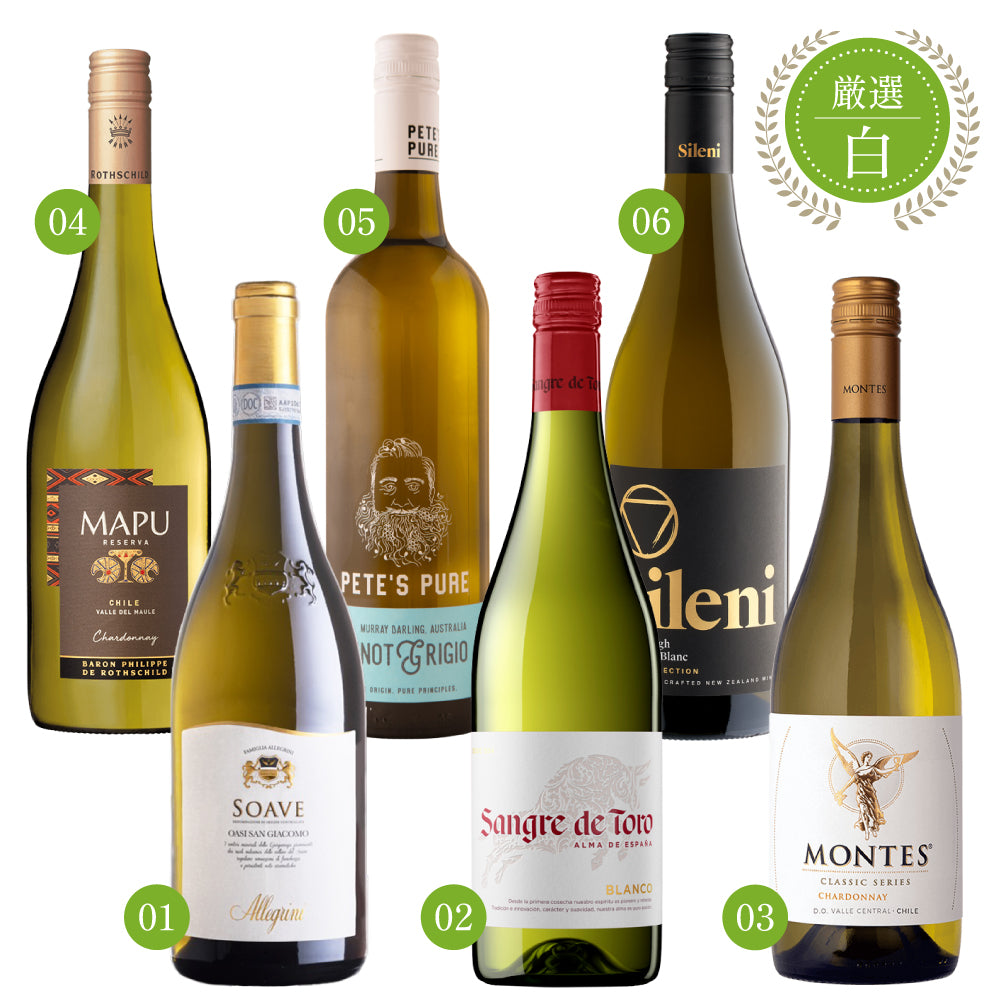 エノテカ 厳選 白ワイン 750ml × 6本 セット イタリア スペイン チリ オーストラリア ニュージーランド