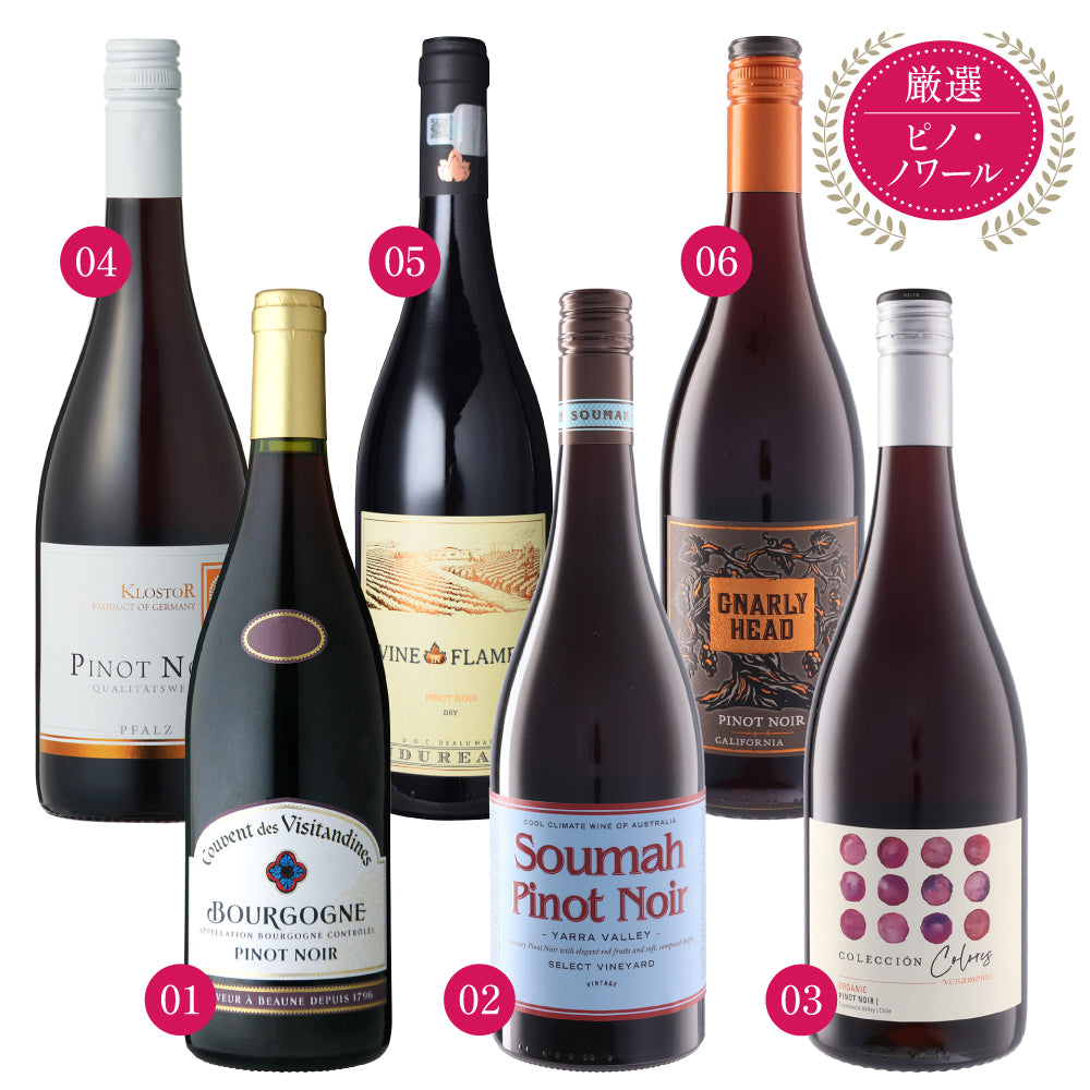 世界のピノノワール 750ml × 6本 赤ワインセット