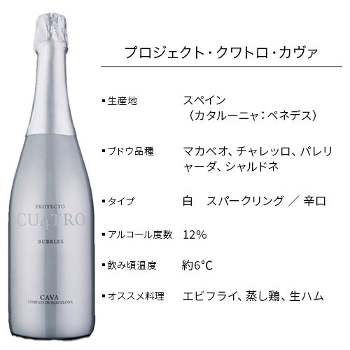 【送料無料 5本セット】大人のピクニックワインセット 750ml × 5本 オリジナル保冷バック付 スペイン ニュージーランド チリ オーストラリア （白泡1本、白2本、ロゼ1本、赤1本）