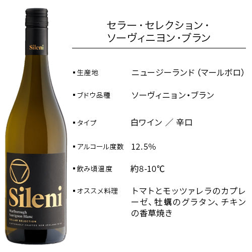 【送料無料 5本セット】大人のピクニックワインセット 750ml × 5本 オリジナル保冷バック付 スペイン ニュージーランド チリ オーストラリア （白泡1本、白2本、ロゼ1本、赤1本）