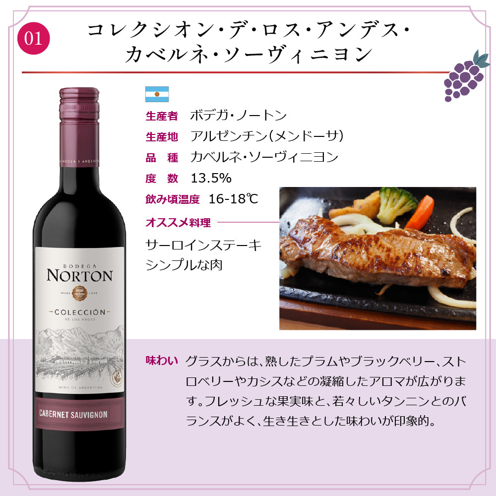 エノテカ 厳選 フルボディ 赤ワイン 750ml × 10本 セット アルゼンチン