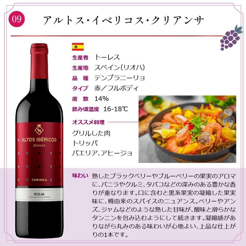 エノテカ 厳選 ワンランク上 赤白泡 ワイン 750ml × 10本 セット スペイン イタリア 南アフリカ共和国 フランス