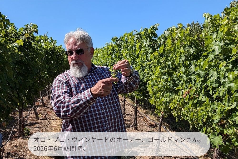 ナパ ハイランズ カベルネ ソーヴィニヨン ナパ ヴァレー 2024 750ml