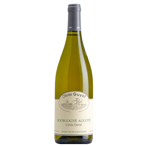 1wine-03095-1_grande.jpg?v=