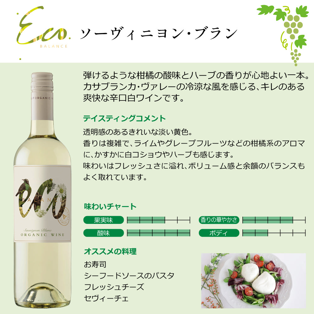 エコバランス フルコンプリートセット オーガニックワイン 飲み比べ 赤白ロゼ ミックス 750ml×9本 チリ