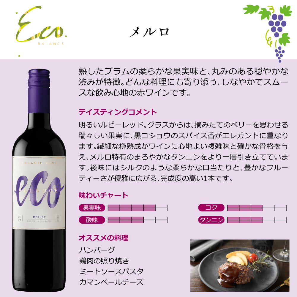 エコバランス フルコンプリートセット オーガニックワイン 飲み比べ 赤白ロゼ ミックス 750ml×9本 チリ