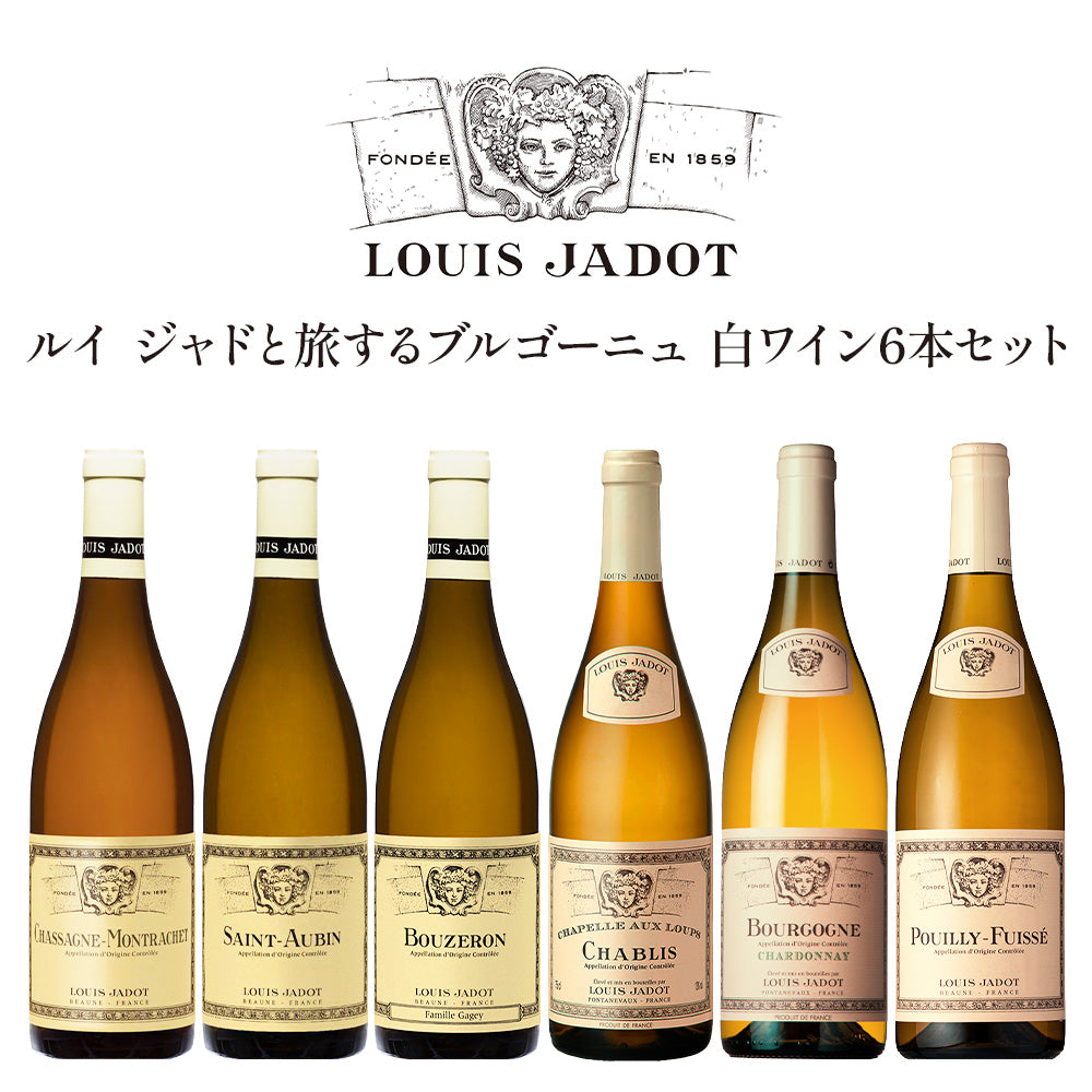 ルイ ジャドと旅するブルゴーニュ 白ワイン 6本 贅沢飲み比べセット