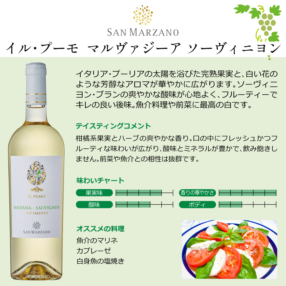 サン マルツァ－ノ イル プーモ シリーズ 飲み比べセット 750ml×3 赤ワイン 白ワイン イタリア プーリア 辛口