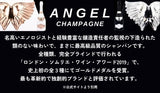 【ケース選択不可】 エンジェル シャンパーニュ NV ドゥミ セック リミテッド ハロウィン 750ml オリジナルBOX付 シャンパン
