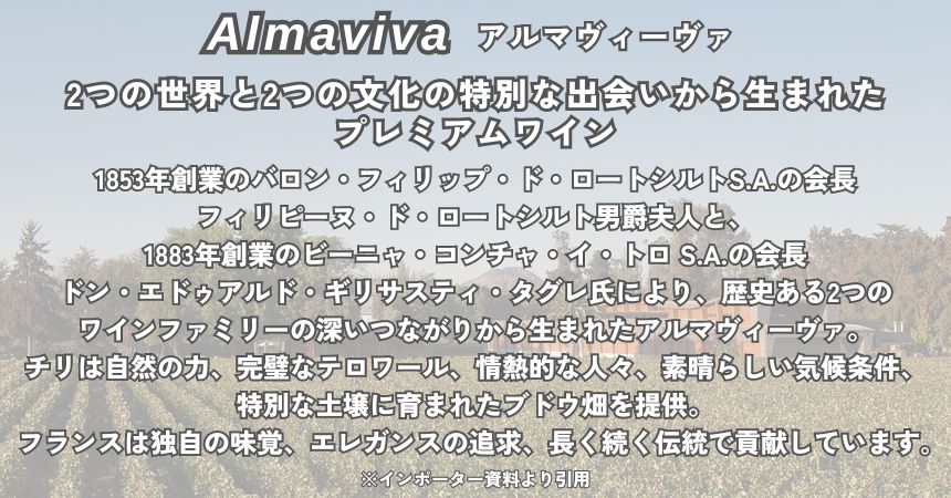 ALMAVIVA（アルマヴィーヴァ）2020 750ml 赤ワイン チリ フルボディ