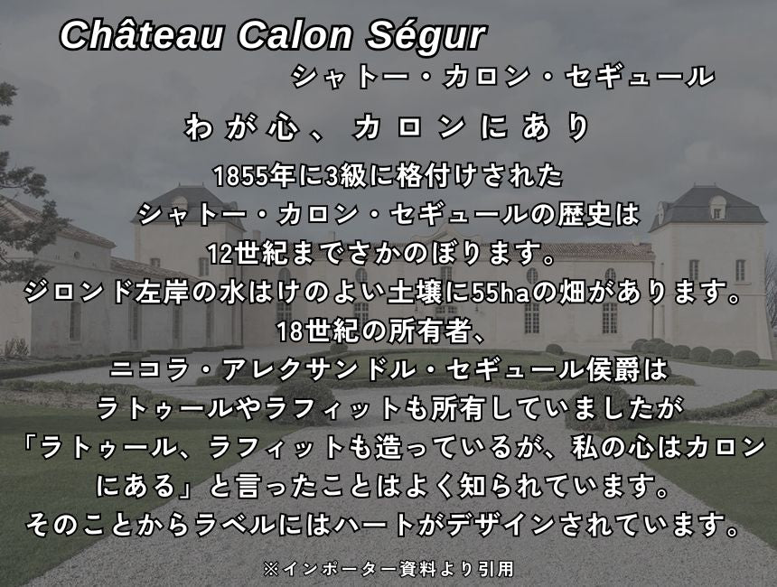 シャトー カロン セギュール 2019 750ml 赤ワイン フランス ボルドー フルボディ