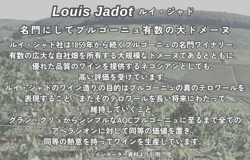 ルイ ジャド ブルゴーニュ シャルドネ 2021 750ml 白ワイン フランス ブルゴーニュ 辛口