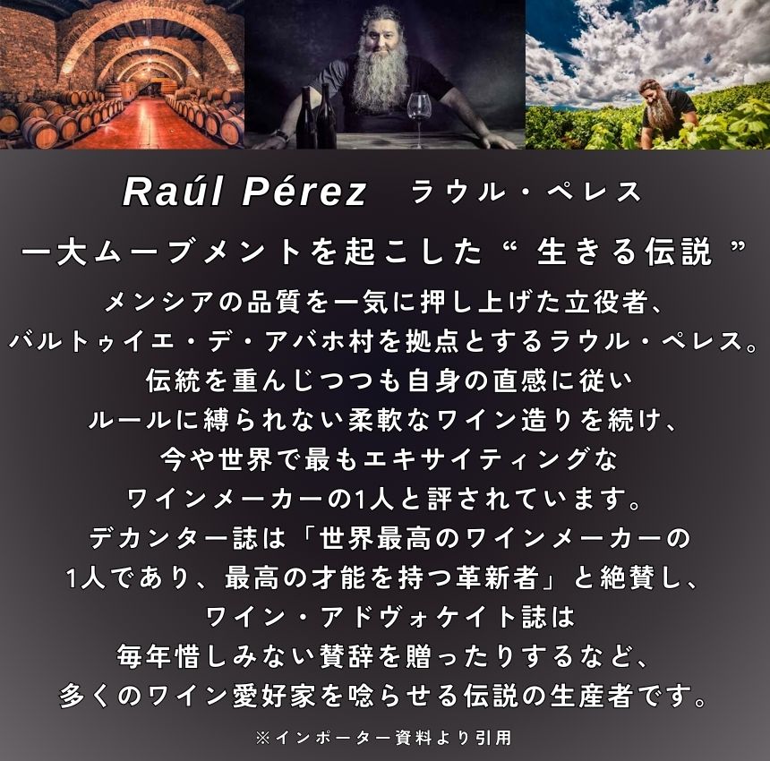 ラウル ペレス ウルトレイア ヴァルトゥイエ 2021 750ml 赤ワイン スペイン ビエルソ フルボディ