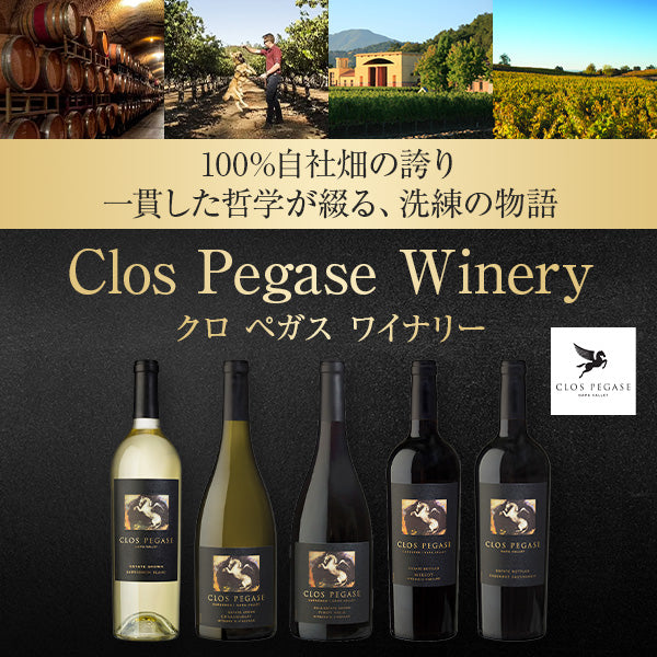 お酒ボトル20本 お酒の通販ならSAKE People（酒ピポ）