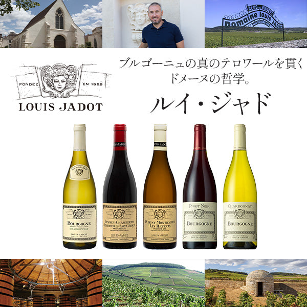 お酒の通販ならSAKE People（酒ピポ）