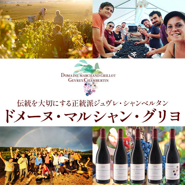 お酒の通販ならSAKE People(酒ピポ) お酒の通販ならSAKE People(酒ピポ)