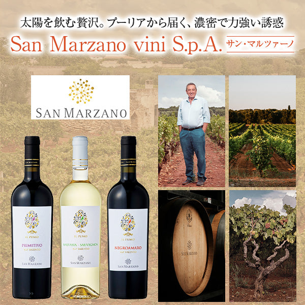 お酒の通販ならSAKE People（酒ピポ）