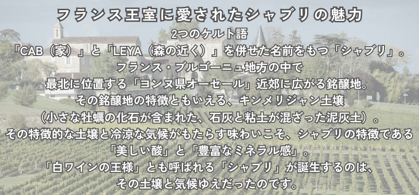 ジャン ポール エ ブノワ ドロワン シャブリ プルミエ クリュ モンテ ド トネール 2022 750ml 白ワイン フランス ブルゴーニュ 辛口