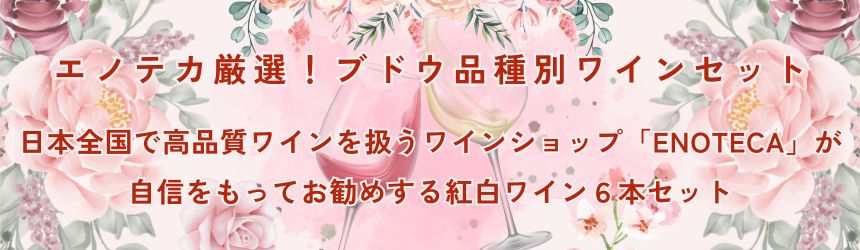 【送料無料 6本セット】 ワインショップ「エノテカ」が選んだ ブドウ 品種別 紅白 ワイン 750ml × 6本 セット フランス ニュージーランド チリ アルゼンチン イタリア 南アフリカ（赤 × 3本・白 × 3本）