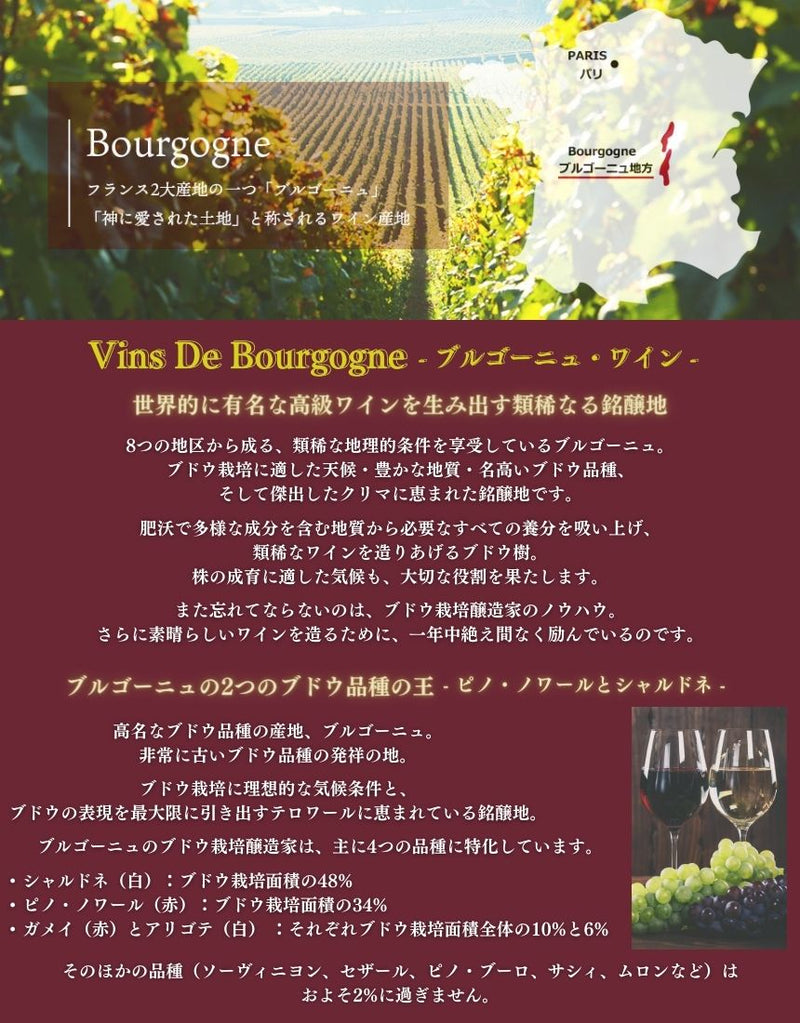 モンジャール ミュニュレ ボーヌ プルミエ クリュ レ ザヴォー 2015 750ml 赤ワイン フランス ブルゴーニュ ミディアムボディ