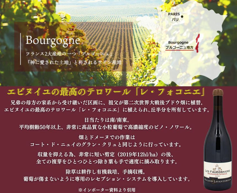 ローラン ラヴァントゥルー ブルゴーニュ エピヌイユ レ フォコニエ 2020 750ml 赤ワイン フランス ブルゴーニュ ミディアムボディ