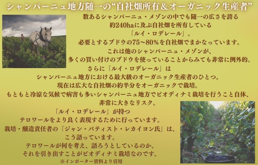 ルイ ロデレール ブリュット ヴィンテージ 2015 750ml 箱付 シャンパン